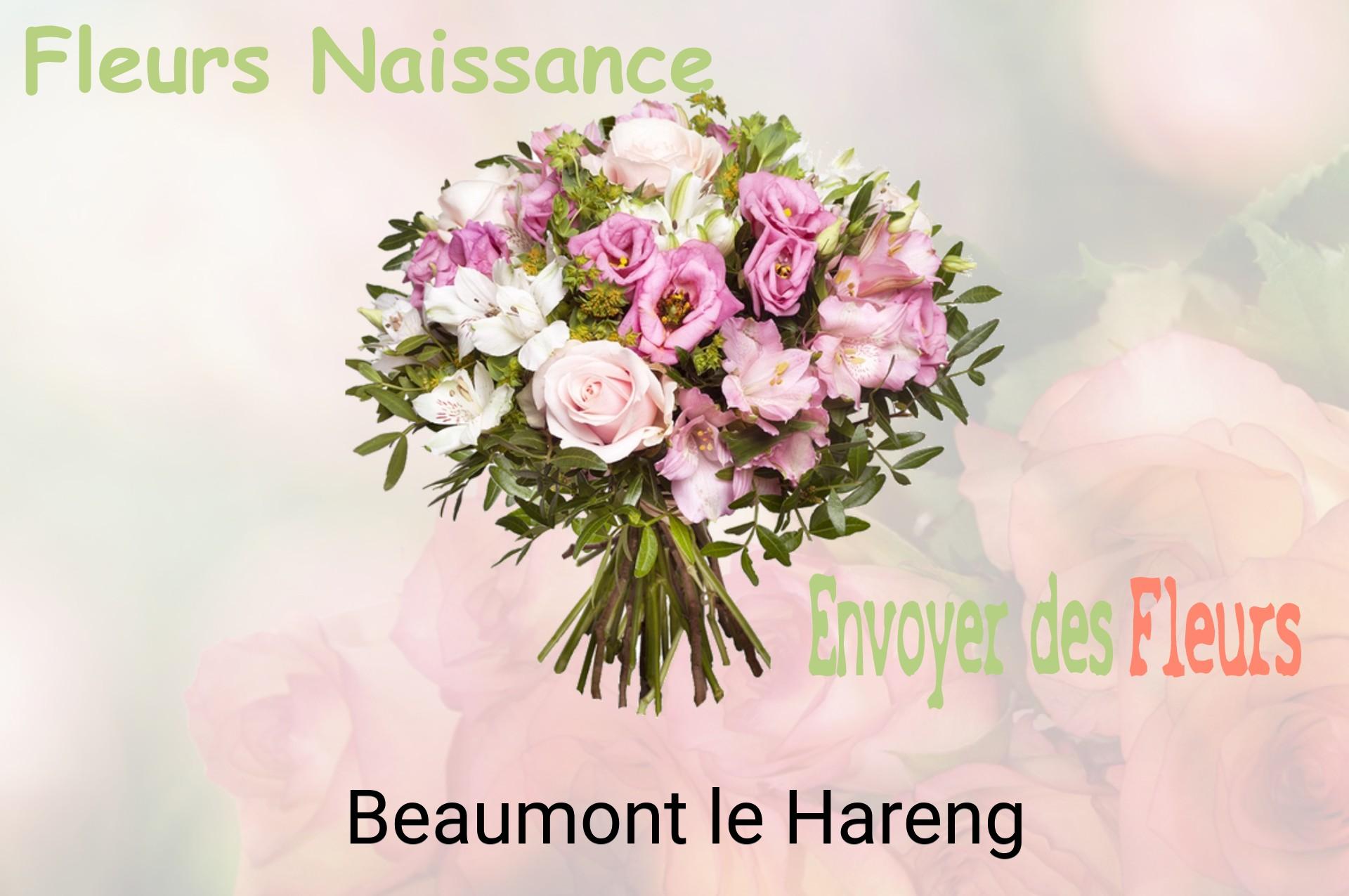 Bouquet de fleurs de naissance livré à Beaumont-le-Hareng